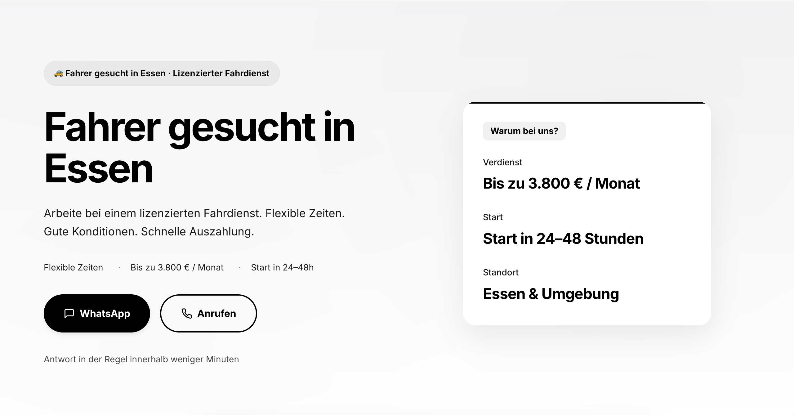 Template preview - light theme
